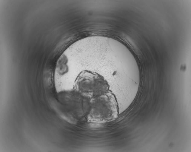 X0000089930169200707271805