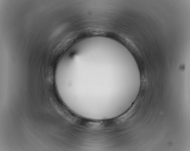 X0000089930170200707271805