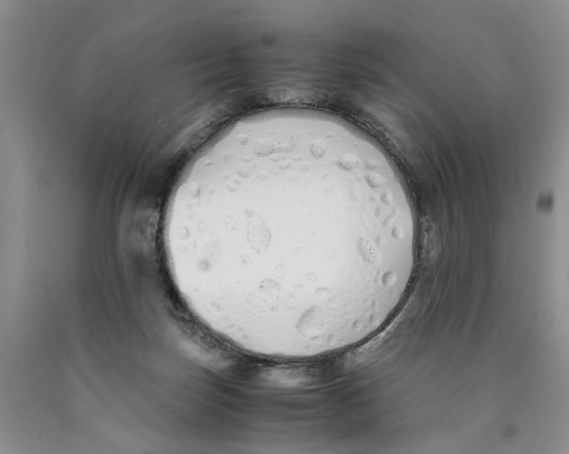 X0000089930171200707271805