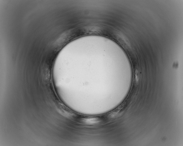 X0000089930173200707271805