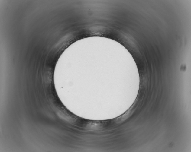 X0000089930174200707271805