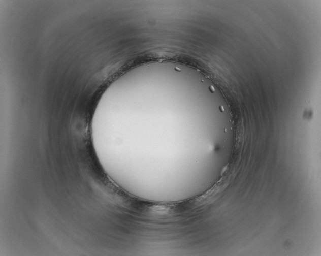 X0000089930176200707271805