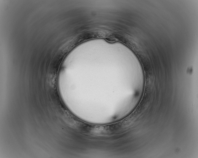 X0000089930177200707271805