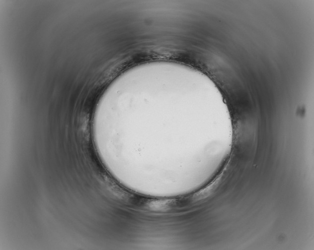 X0000089930178200707271805