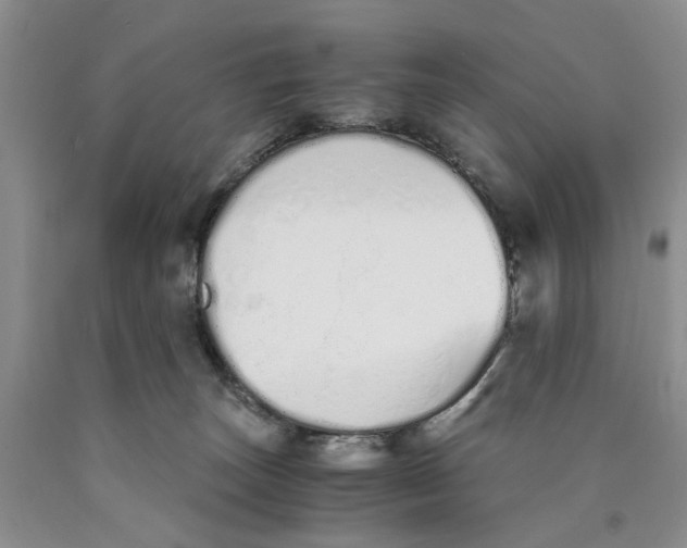 X0000089930179200707271805