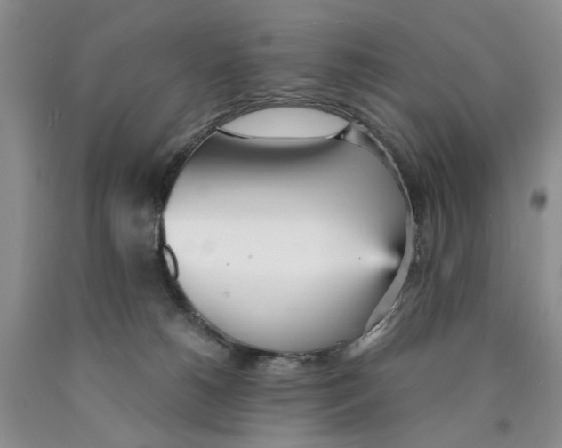 X0000089930180200707271805