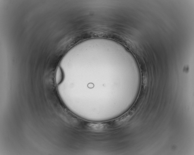 X0000089930181200707271805