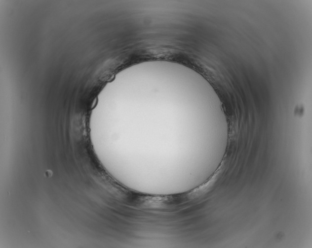 X0000089930182200707271805