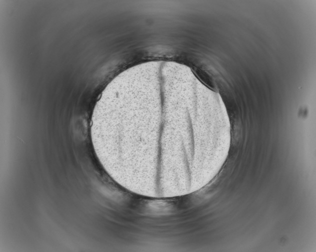 X0000089930183200707271805