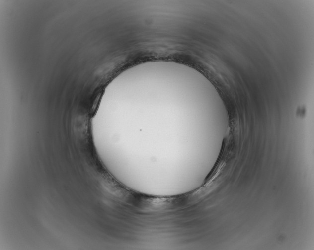 X0000089930184200707271805