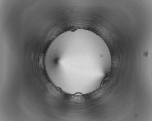 X0000089930185200707271805