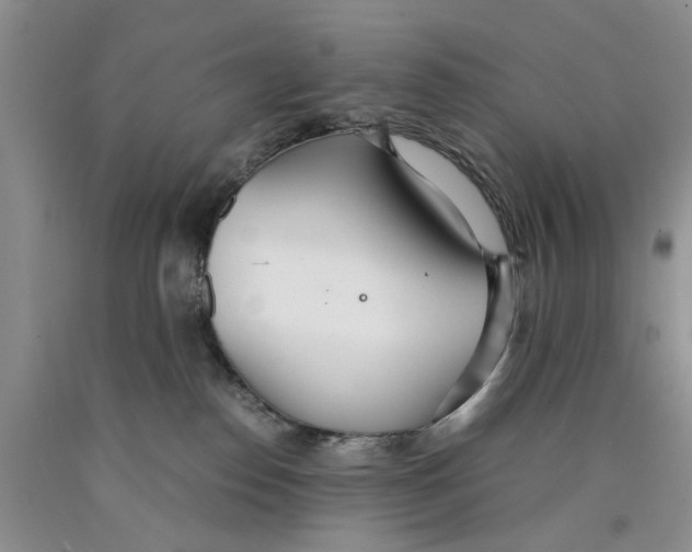 X0000089930186200707271805