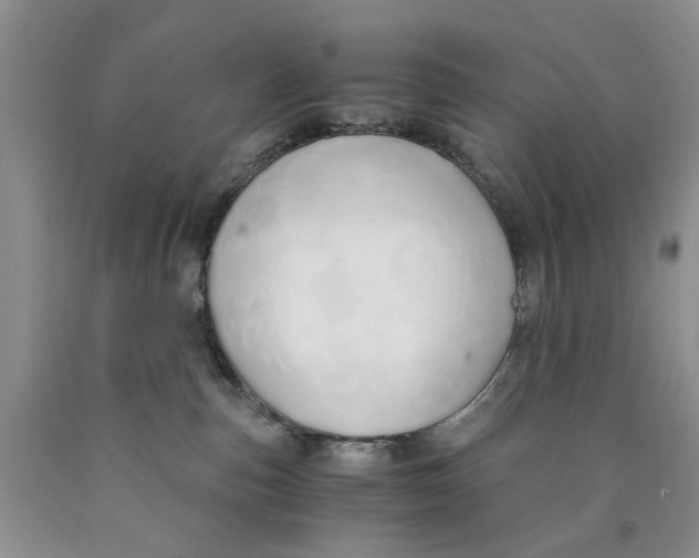 X0000089930187200707271805