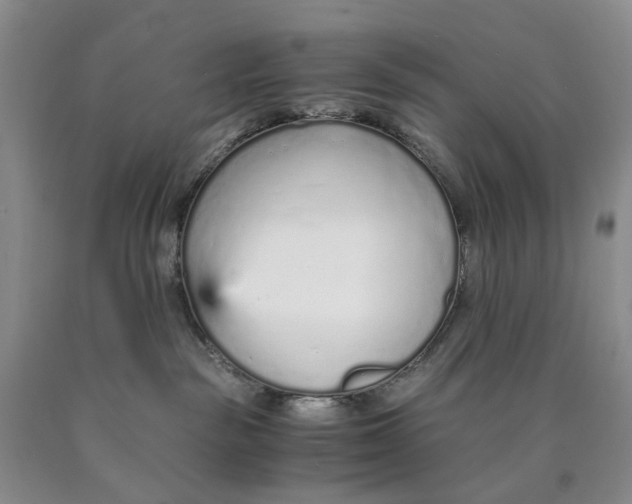 X0000089930189200707271805