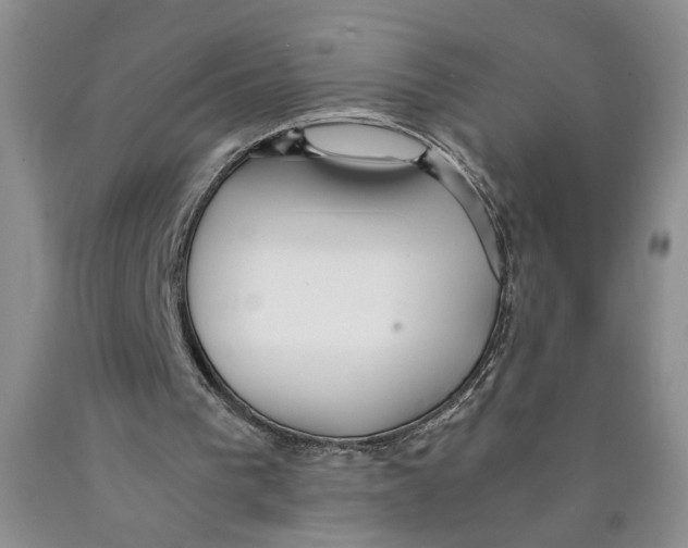 X0000089930193200707271804