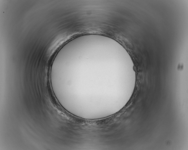 X0000089930194200707271804