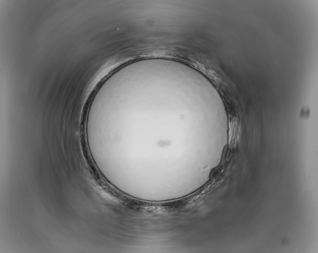 X0000089930195200707271804