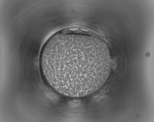 X0000089930196200707271804