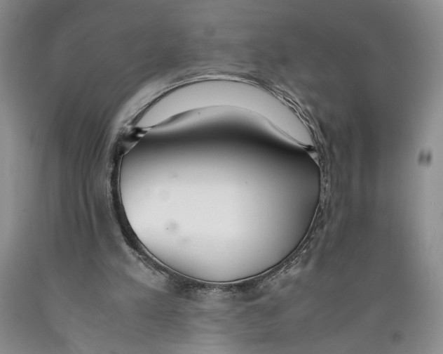 X0000089930197200707271804