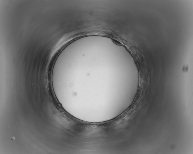 X0000089930198200707271804