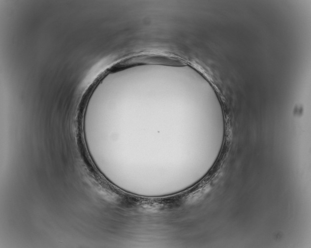 X0000089930199200707271804