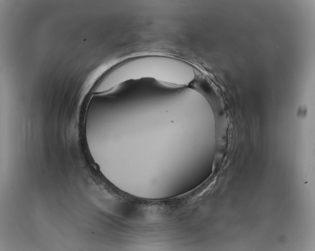 X0000089930200200707271804