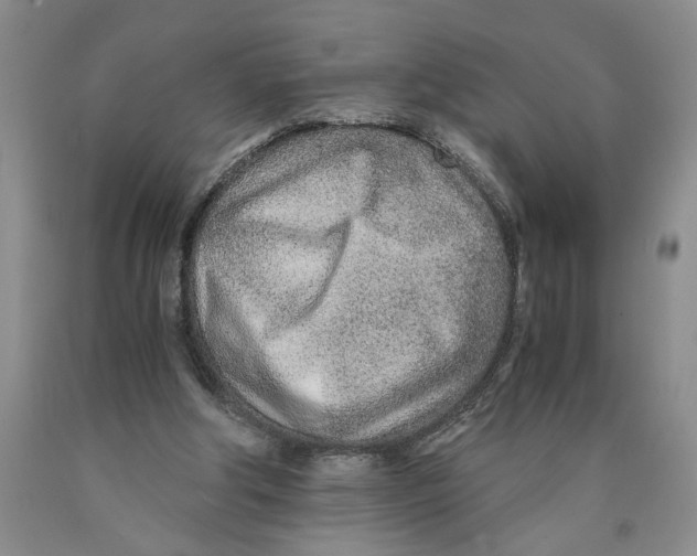 X0000089930202200707271804