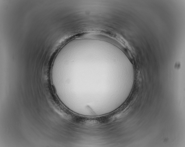 X0000089930203200707271804