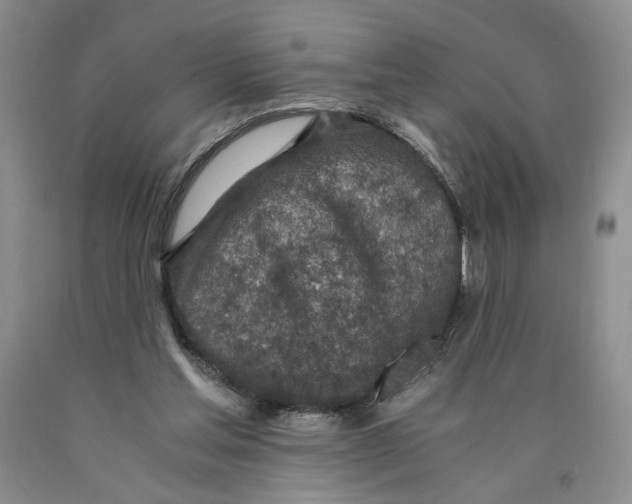 X0000089930205200707271804