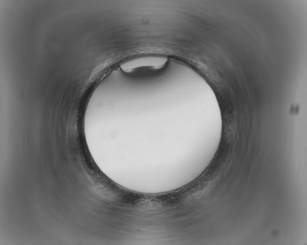 X0000089930207200707271804