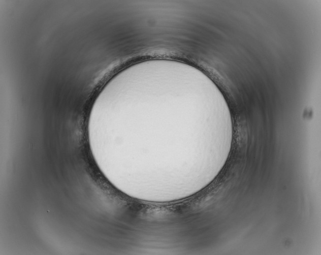 X0000089930208200707271804