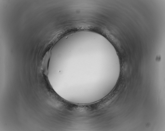 X0000089930209200707271804