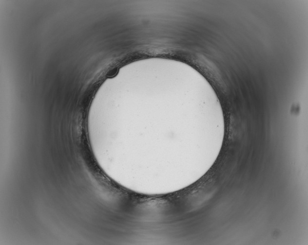 X0000089930210200707271804