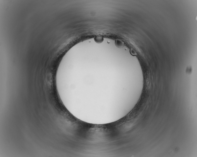 X0000089930211200707271804