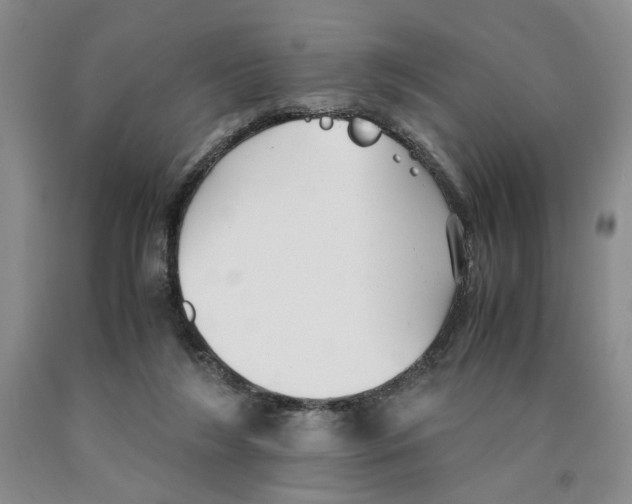 X0000089930212200707271804