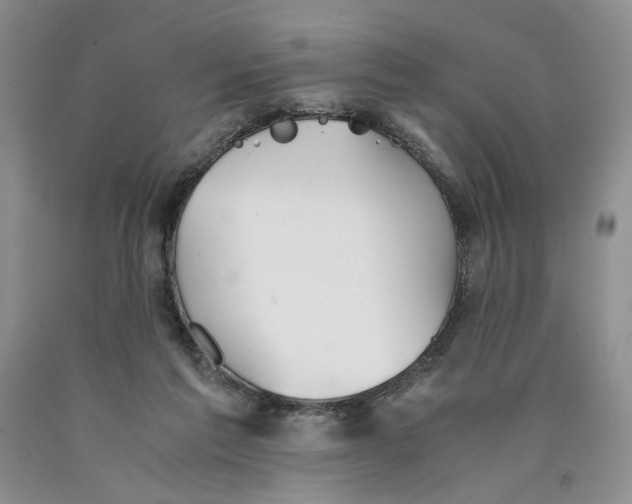 X0000089930213200707271804