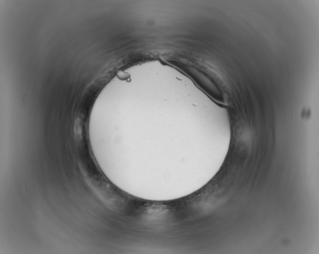 X0000089930214200707271804