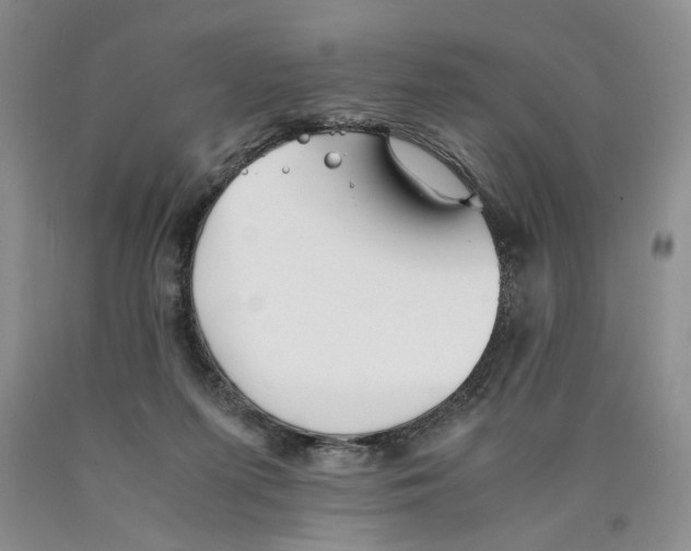 X0000089930215200707271804