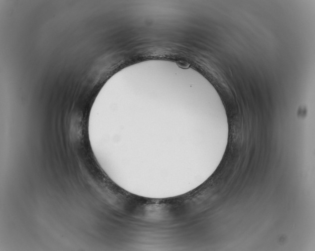 X0000089930216200707271804