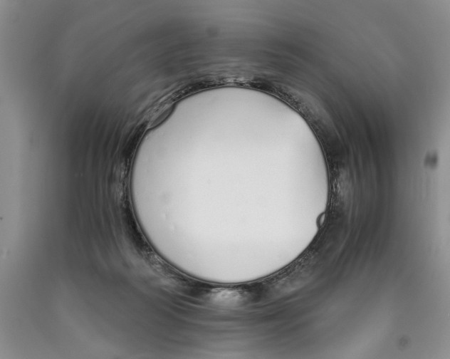 X0000089930218200707271804