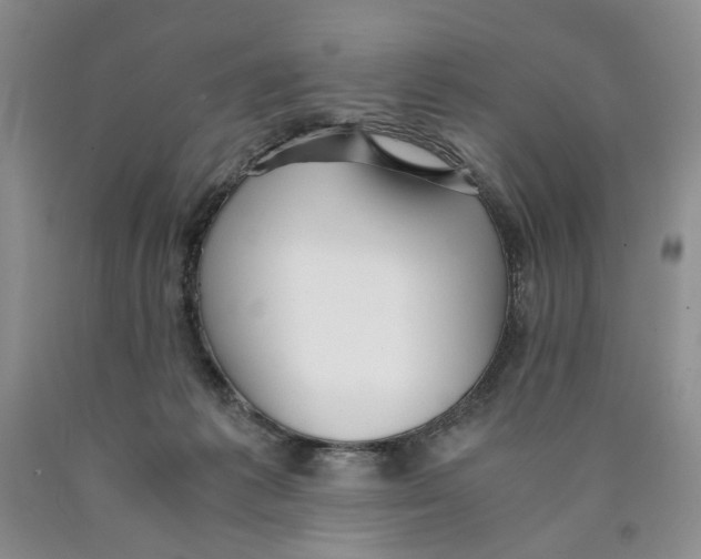 X0000089930221200707271804