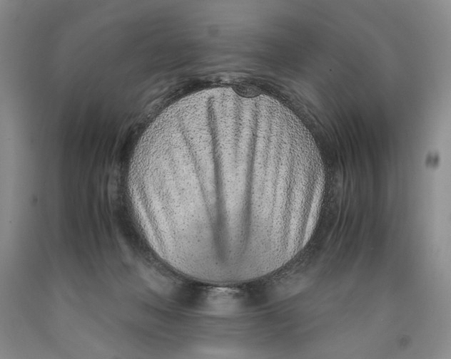 X0000089930222200707271804