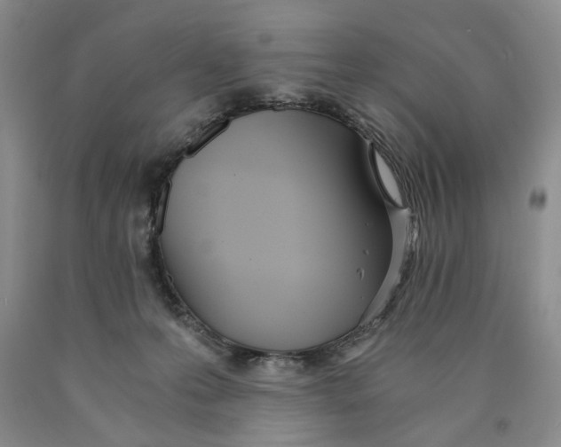 X0000089930223200707271804