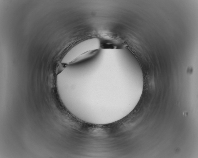 X0000089930224200707271804