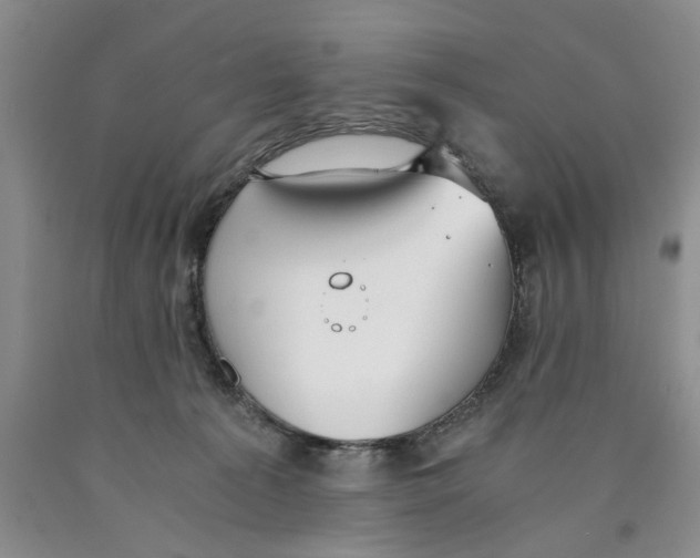 X0000089930225200707271804