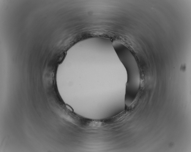 X0000089930227200707271804