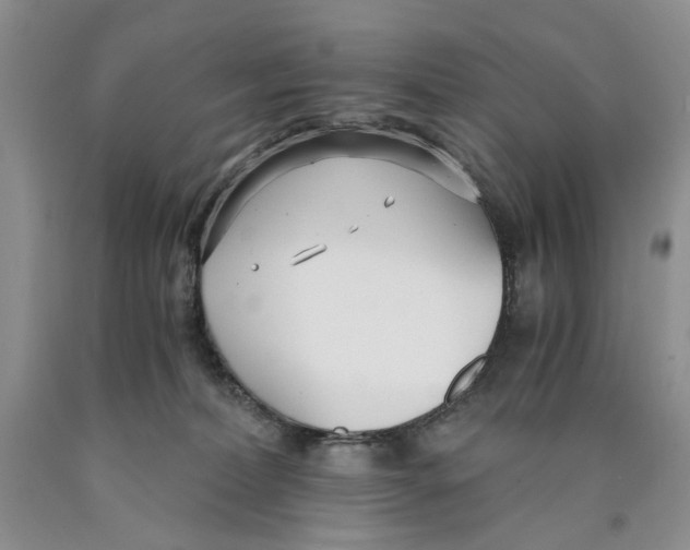 X0000089930228200707271804