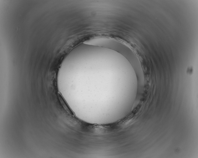 X0000089930229200707271804