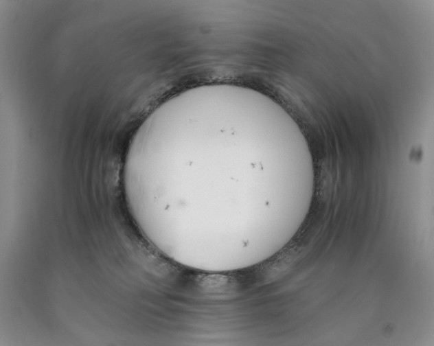 X0000089930230200707271804