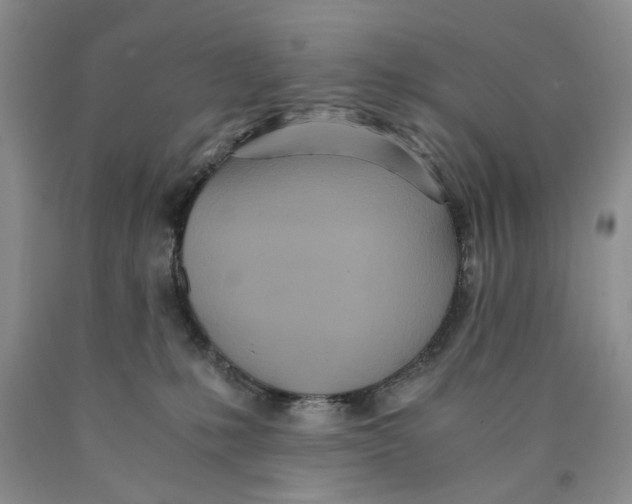 X0000089930231200707271804